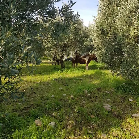 Agee Vila Calopezzati